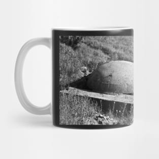 A bomb shelter in Saranda, Albania Mug